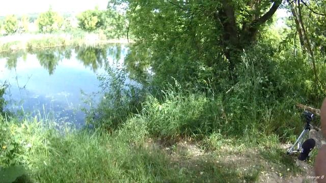 Жилище бобра. Велопоход по живописным местам. Вареники с креветками. смотреть онлайн