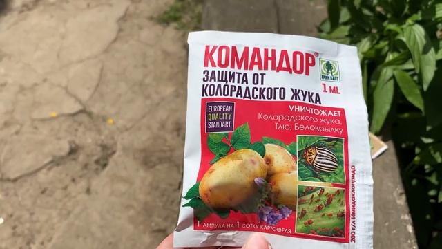 ДВА ДНЯ ВНЕ ДОМА. ХОЖУ КАК НА ЭКСКУРСИИ смотреть онлайн