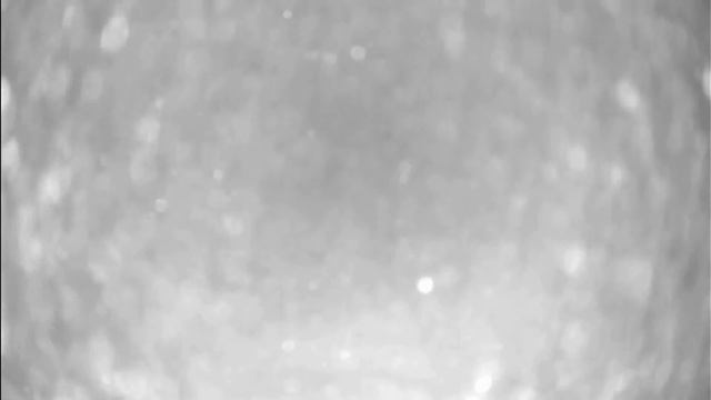 Бутаковский залив 06.03.2021 смотреть онлайн