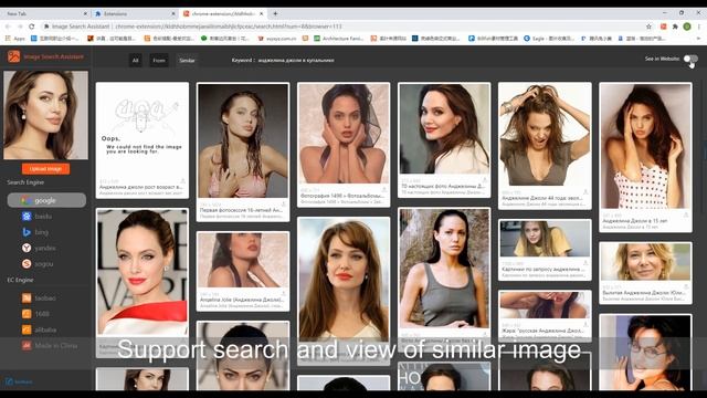 Image Search Assistant смотреть онлайн
