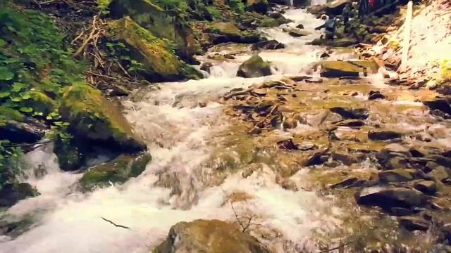 Карпаты / Экскурсия в Карпатах Украина / Приключение в горах Карпаты. смотреть онлайн