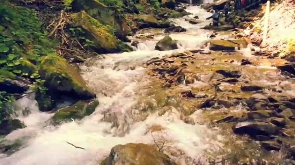 Карпаты / Экскурсия в Карпатах Украина / Приключение в горах Карпаты.