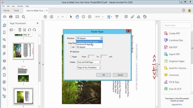 How to Rotate PDF Page Permanently with Adobe Acrobat Pro 2020 смотреть онлайн