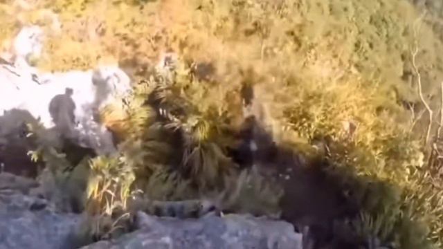 Из за чего мы страдаем?! МОДАЛЬНОСТЬ - это... НЛП - Простым языком. смотреть онлайн