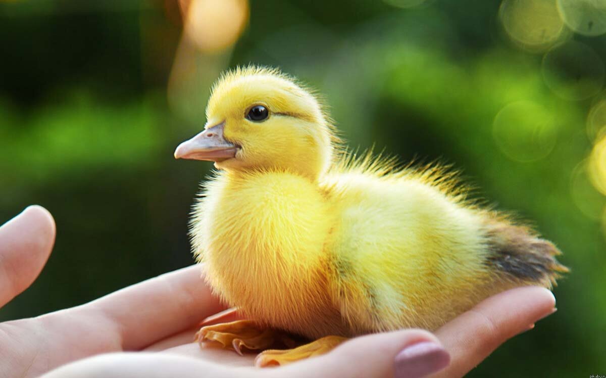 релакс смотреть онлайн