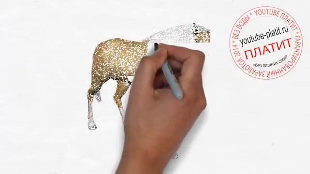 Видео как нарисовать лошадь из мультфильма Рисуем лошадь поэтапно смотреть онлайн