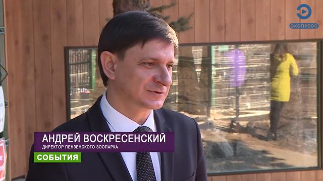 Пензенская медведица Нюра сменила прописку смотреть онлайн