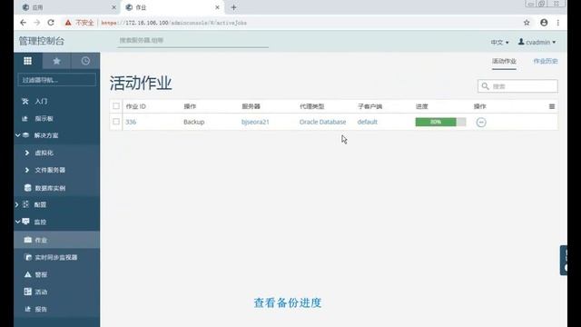 Commvault 01-Oracle流式备份 Admin Console SP13 смотреть онлайн