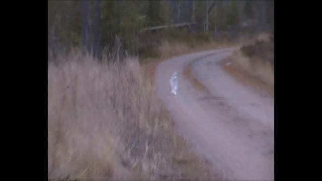 Lisbe syksyllä 2014 смотреть онлайн