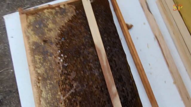 Переделываю рамки улья «Дадан» на «Рута». смотреть онлайн