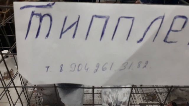 3 февраля 2024 г. смотреть онлайн