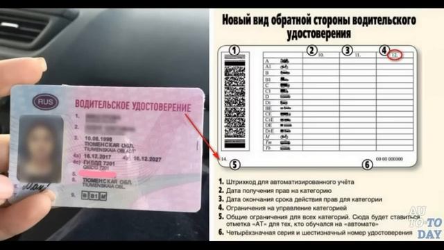 "Я БЫЛ МЕРТВЫЙ..." В ЧЕМ ОПАСНОСТЬ ПРИНЯТИЯ ВОДИТЕЛЬСКОГО УДОСТОВЕРЕНИЯ?! смотреть онлайн