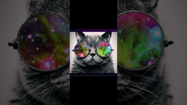 Modern Hip-Hop Мой фонк смотреть онлайн