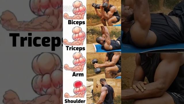Complete arm builder ? #armworkouts #bicepsathome смотреть онлайн