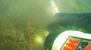 Где живут раки // Как поймать рака