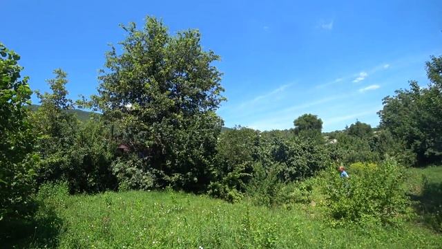 Земельный участок в Крыму, село Путиловка 8 соток ИЖС (Бельбекская долина) смотреть онлайн