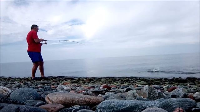 горбуша на спиннинг-нереальный клев горбуши.mp4