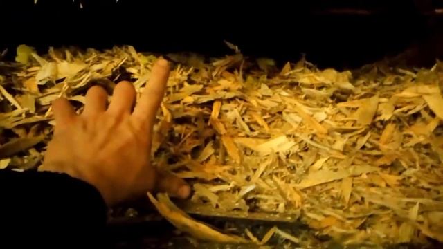 Света много не бывает+2 й этаж гараж+сип дому 5 дней смотреть онлайн