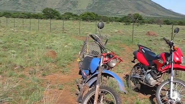 Groot Schuur, Sterkstroom, East Cape, South Africa смотреть онлайн