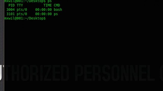 command line tutorial- part 1.avi смотреть онлайн