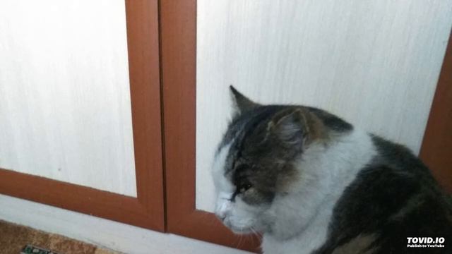 Алмас Багратиони-Одинокие сердца смотреть онлайн