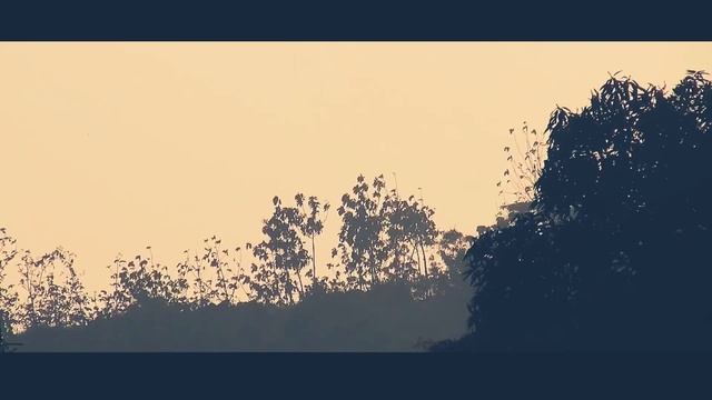 CANON powershot sx 510 hs || Cinematic || video test смотреть онлайн