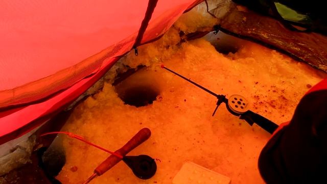 Ловля бели зимой. смотреть онлайн