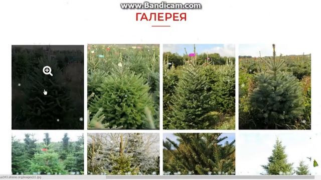 Лендинг "продажа елок" смотреть онлайн