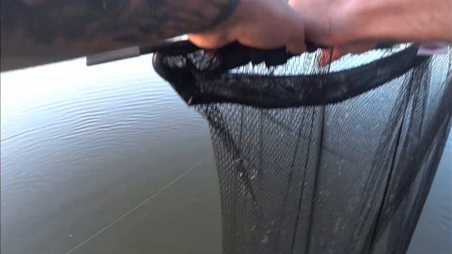 Рыбалка в Дубовке! Второй выезд смотреть онлайн