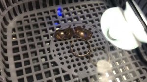 ОБЗОР УЗ МОЙКИ ? Как очищать инструмент в мойке ? Codyson CD-7920 ультразвуковая мойка ? ПСО