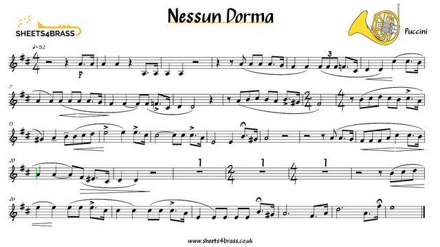 Nessun Dorma - French Horn Play Along with Sheet Music смотреть онлайн