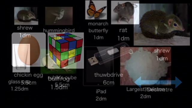 Best Ultimate Size Comparison Universe 2017 Part 1 Version 2