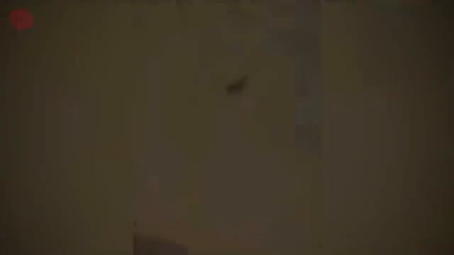 10 НЕОБЪЯСНИМЫХ ФЕНОМЕНОВ ОТ КОТОРЫХ ТЫ ОФИГЕЕШЬ (2) смотреть онлайн