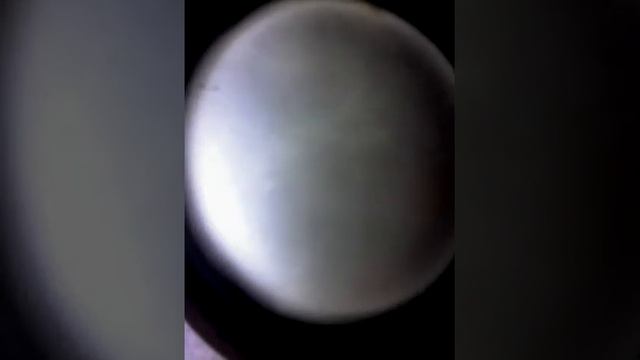 Ход динамика Sven смотреть онлайн