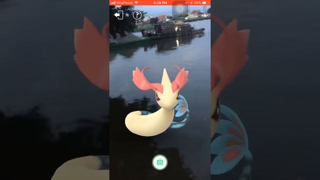 Milotic Pokemon in real life | Pokemon Go VietNam смотреть онлайн