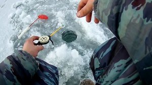 Рыбалка на ириклинском водохранилище судак щука