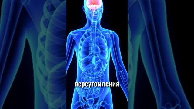 Как долго можно прожить в этих ситуациях смотреть онлайн