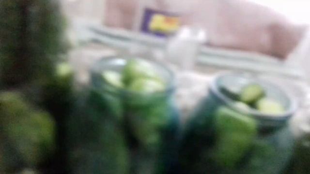 Питон и возрождение кода