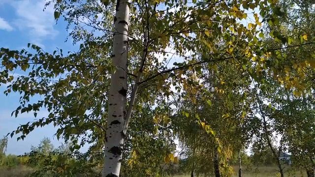 4 октября- КОНДРАТЬЕВ ДЕНЬ/ДВОРЫ/Станешь БОГАТЫМ, если.../ПРИМЕТЫ смотреть онлайн