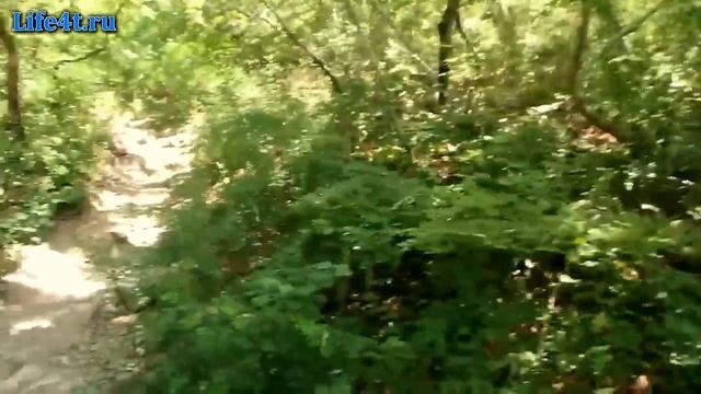 Крым. гора Медведь АюДаг. Экскурсия. 64 серия смотреть онлайн
