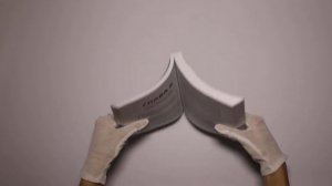 Потрачено. Беспредельная история GTA