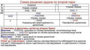 НОВЫЙ ТИП ЗАДАНИЙ ПО ГЕНЕТИКЕ. СЦЕПЛЕННОЕ С ПОЛОМ НАСЛЕДОВАНИЕ С КРОССИНГОВЕРОМ