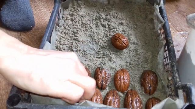 Закладка ореха на стратификацию смотреть онлайн