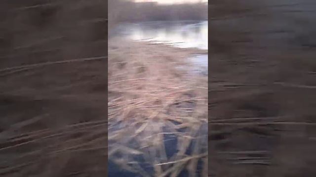 скутер стелс тактик по льду на шипах смотреть онлайн
