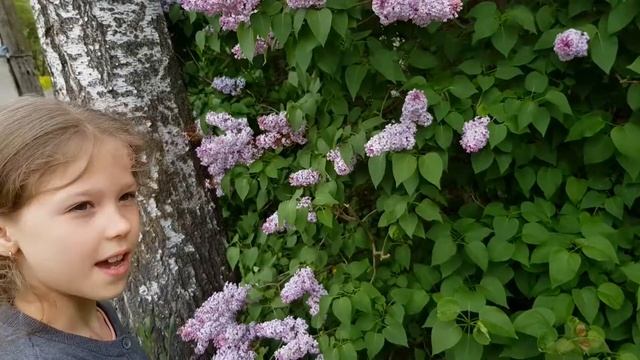 Насекомашки 11. Мои любимые насекомые пара бабочек зебра махаон в руках. смотреть онлайн