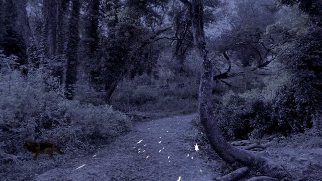 Видеоклип "Лунная Соната" // Videoclip "Moonlight Sonata" смотреть онлайн