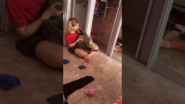 Как ладят Еноты с детьми смотреть онлайн