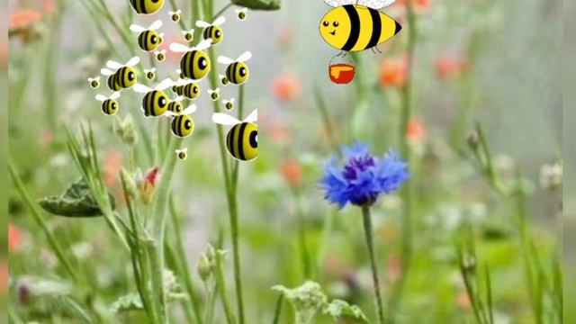 "Подорож весняним краєм" - заняття з природи/ліплення для дітей середнього/старшого дошкільного вік смотреть онлайн