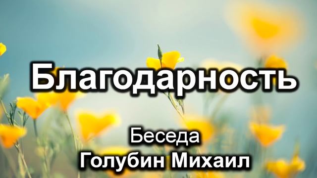 Благодарность. Голубин Михаил. Беседа. МСЦ ЕХБ смотреть онлайн