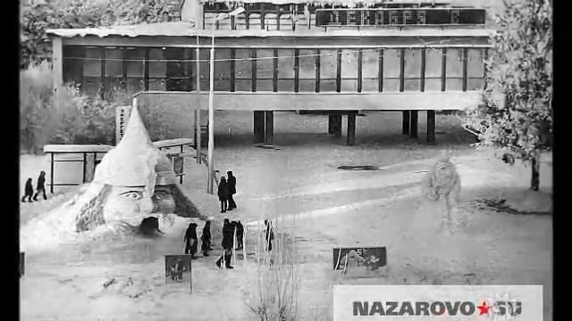 История  Назарово